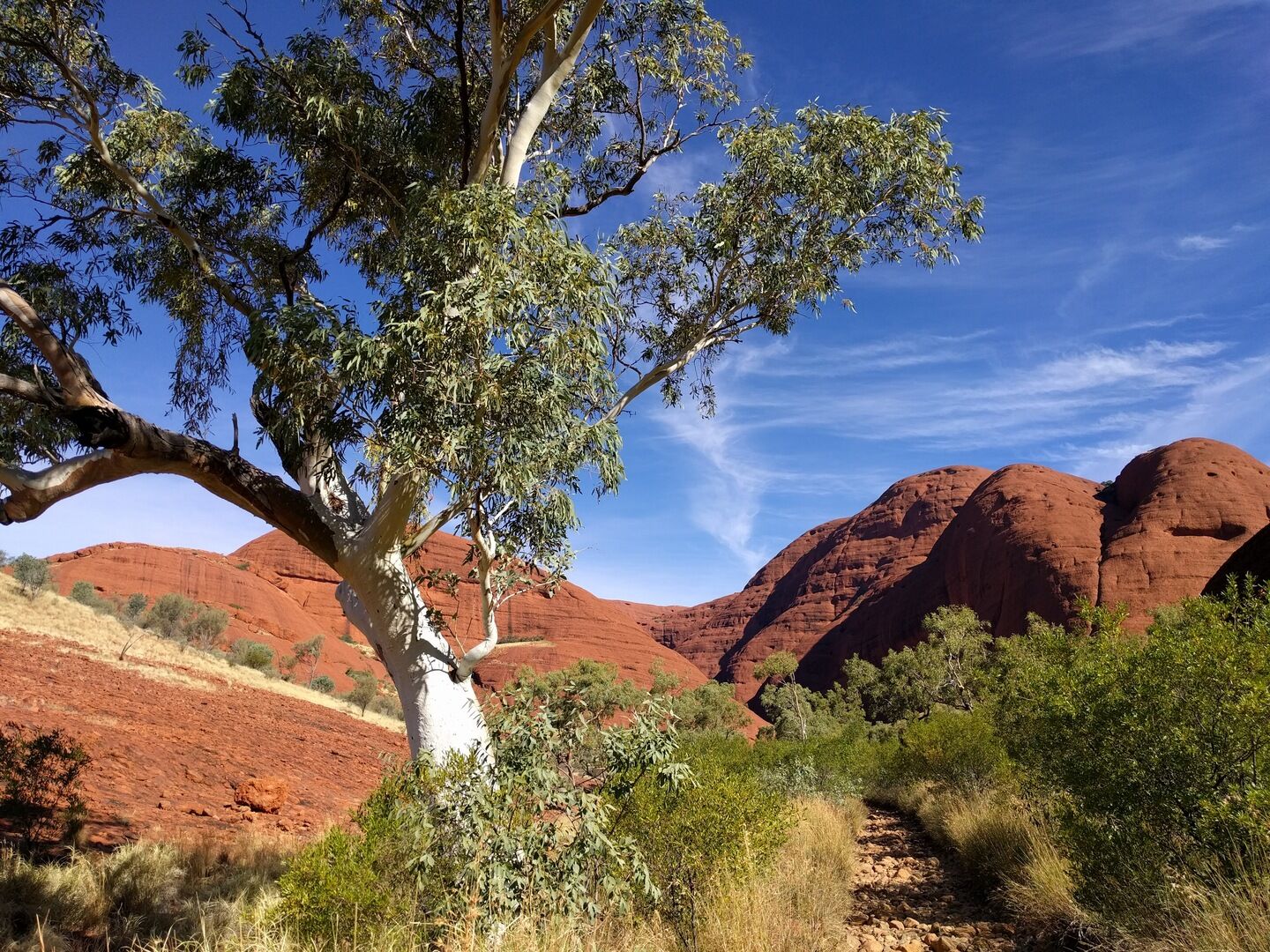 Best of Uluru - Segway and Walking Tour