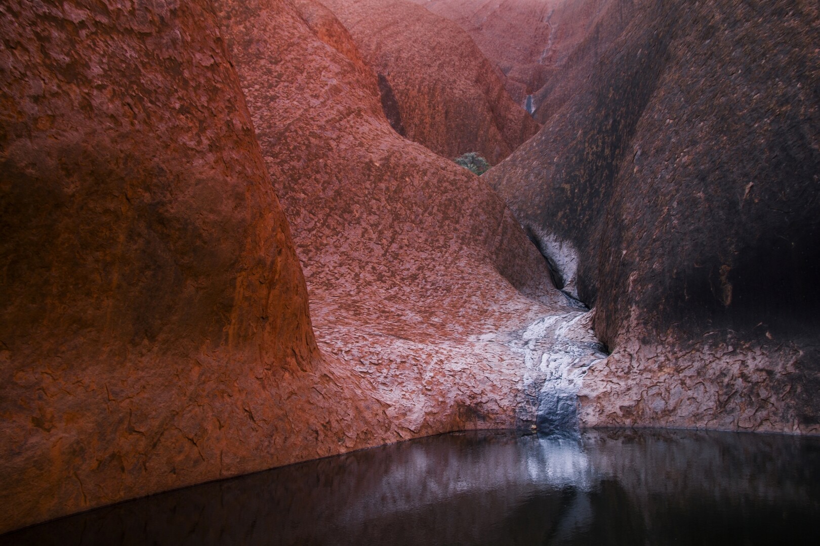 Uluru waterholes and springs